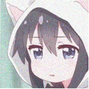 用户留言头像：关注术语词条的读者